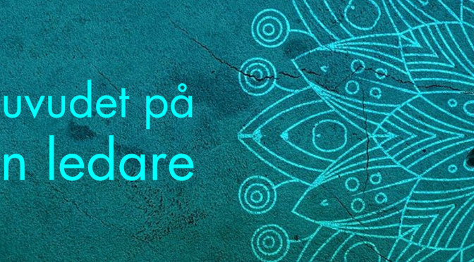 I huvudet på en ledare Kristina Elvingsson